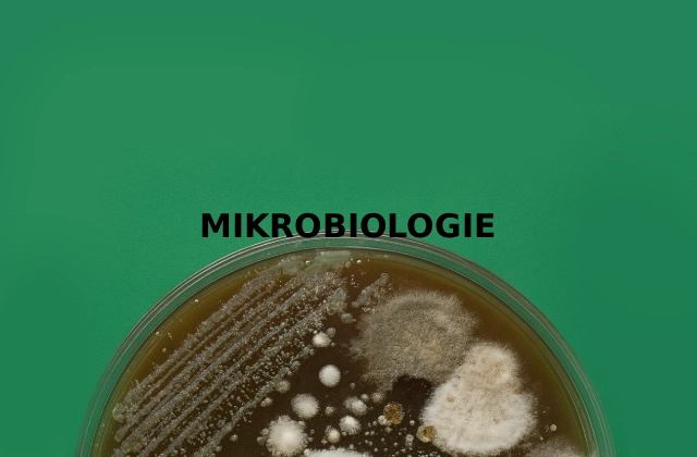 mikrobiologie