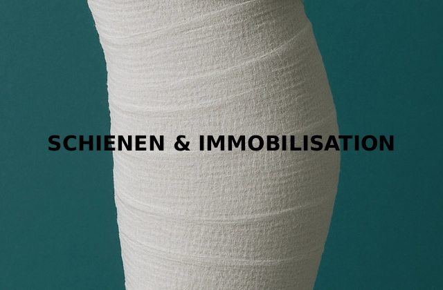 immobilisation immobilisation