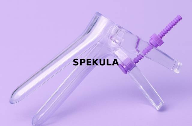 Spekula