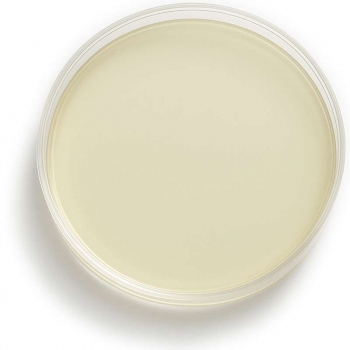 nutriplate-candida-elektivagar-nickerson