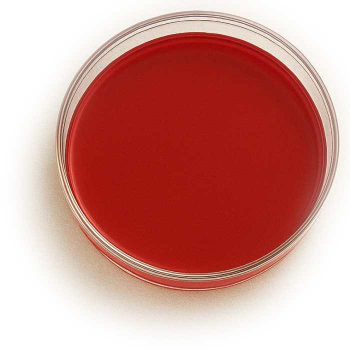 NUTRIPLATE Columbia-Blutagar