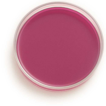 nutriplate-macconkey-agar