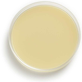 NUTRIPLATE Dermatophyten-Agar, modifiziert