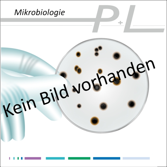 Plieske + Lederer GmbH - Praxisbedarf Arzt- Labor- und Krankenhausbedarf -  Verbandsmaterial
