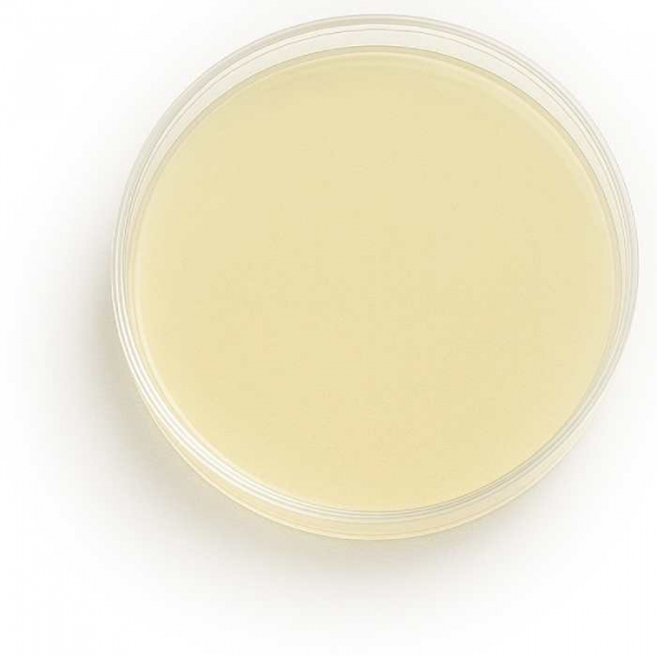 NUTRIPLATE Pilzagar (Kimmig) NUTRIPLATE Pilzagar (Kimmig)
