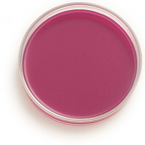 nutriplate-macconkey-agar nutriplate-macconkey-agar