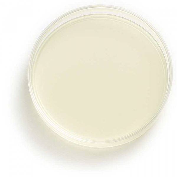 NUTRIPLATE Reisextrakt-Agar NUTRIPLATE Reisextrakt-Agar